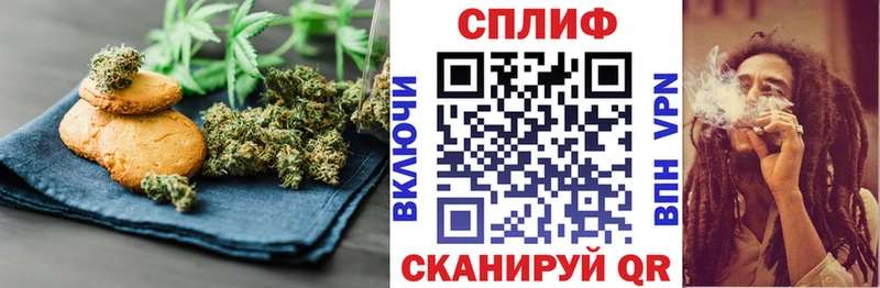 где продают наркотики  Кировск  Еда ТГК марихуана 
