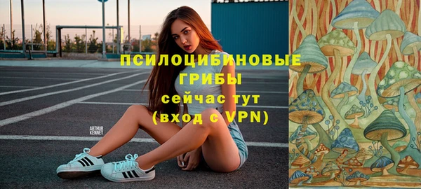 стаф Богородицк