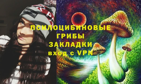 МДПВ Богородск