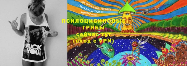 МДПВ Богородск