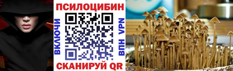 где купить наркотик  Кировск  Псилоцибиновые грибы Psilocybe 